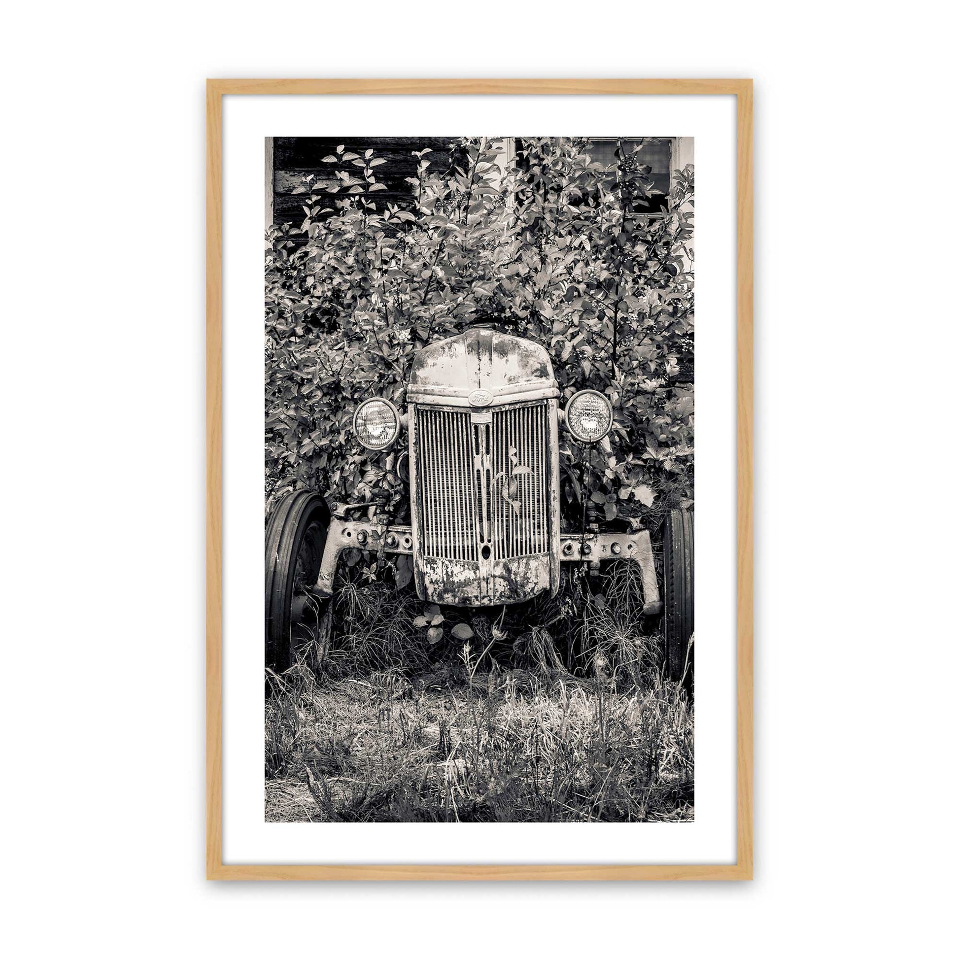 [Color:American Maple], Picture of art in a American Maple frame