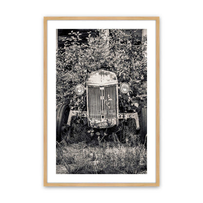 [Color:American Maple], Picture of art in a American Maple frame