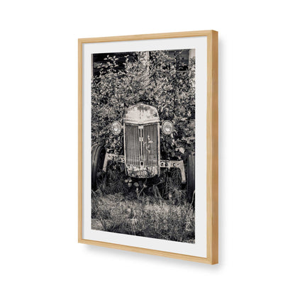 [Color:American Maple], Picture of art in a American Maple frame of the corner