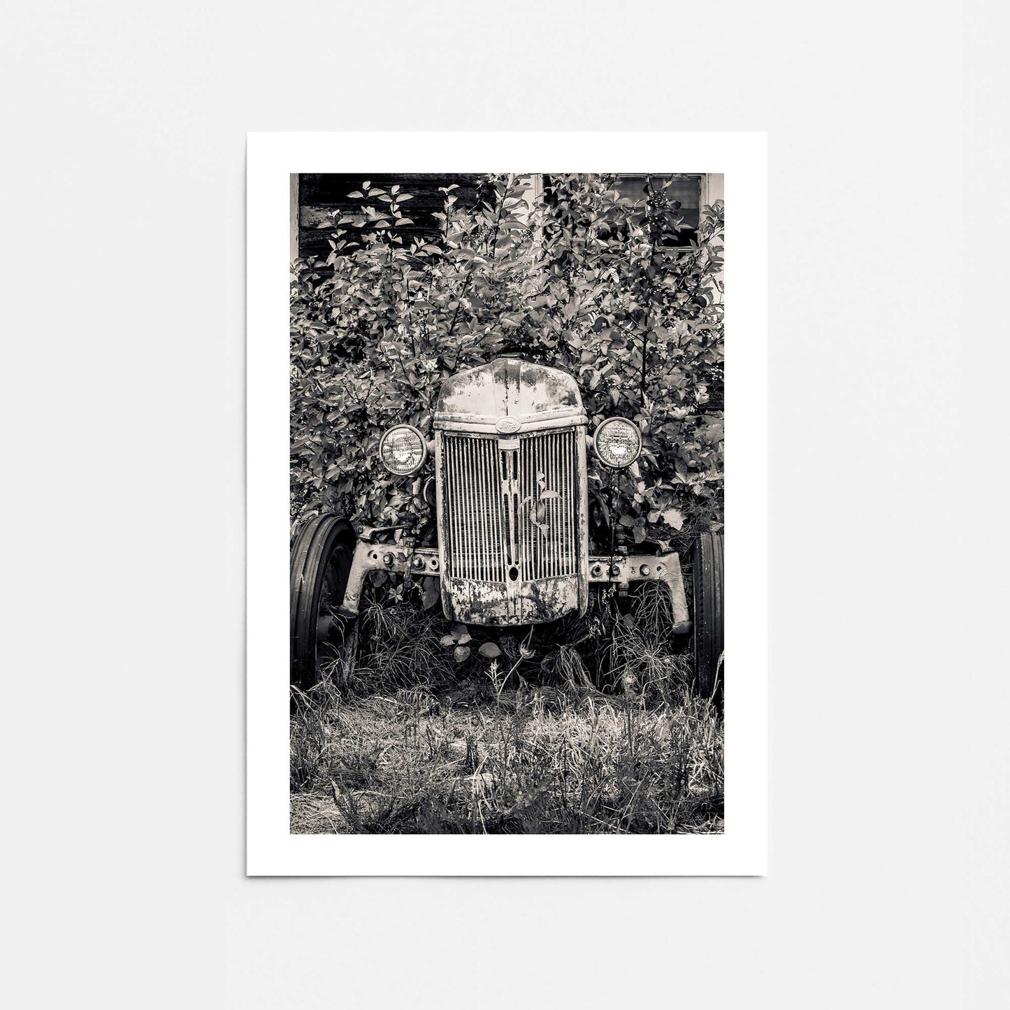 [Color:Rolled Print], Picture of close up of art