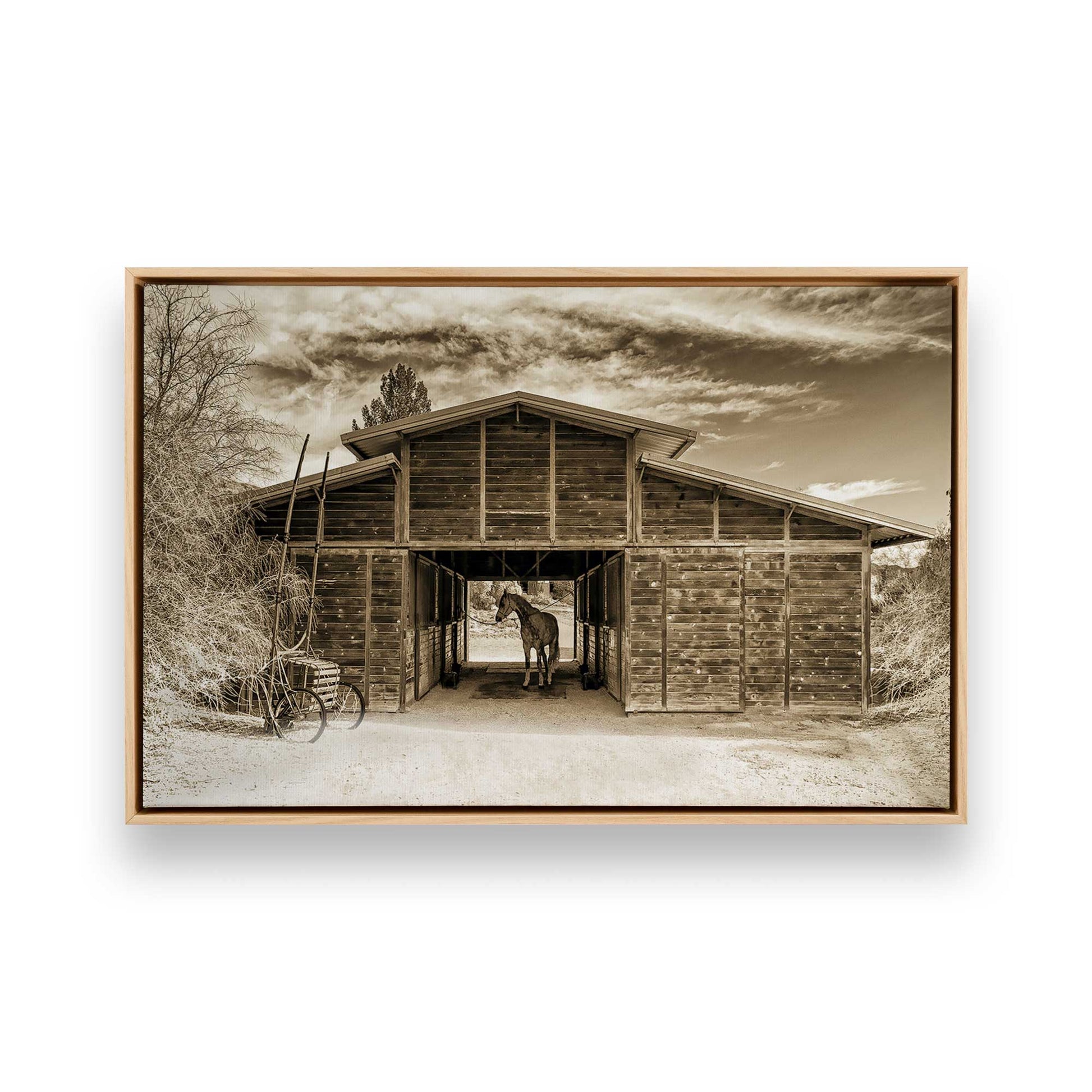 [Color:American Maple], Picture of art in a American Maple frame