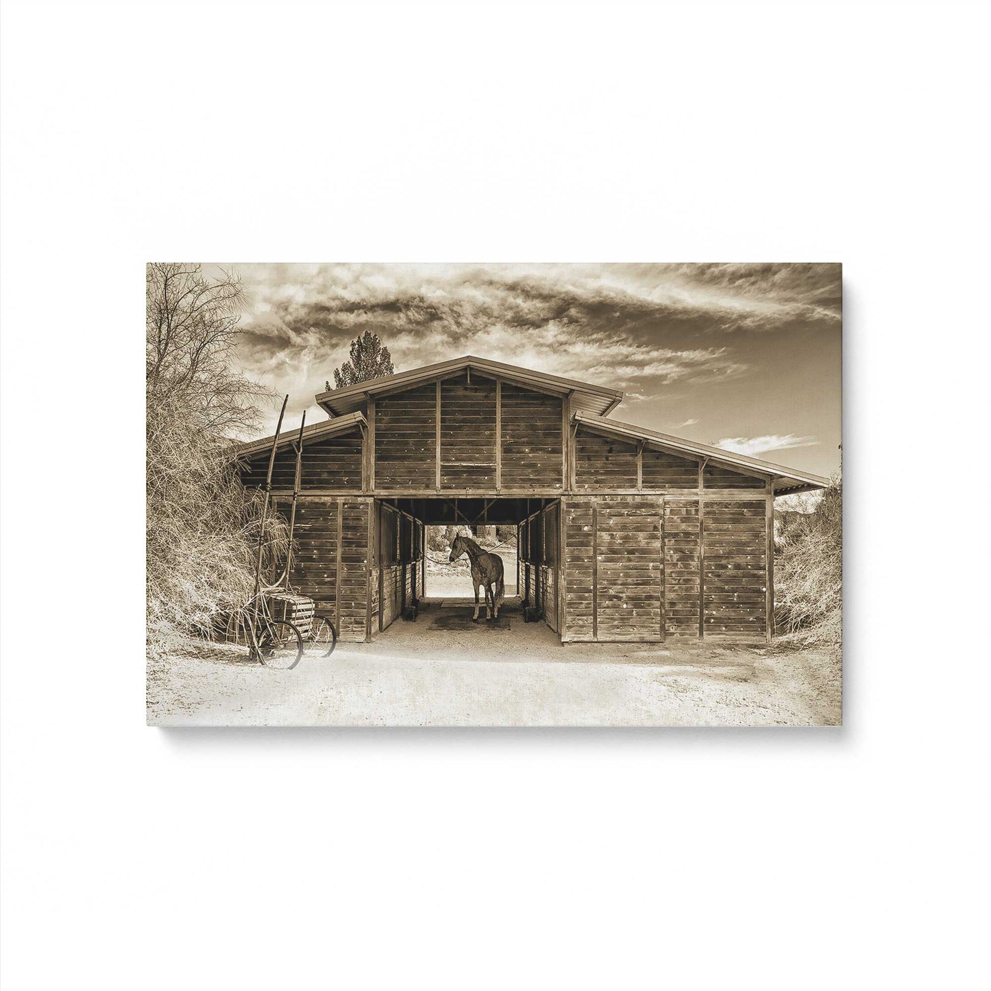 [Color:Stretched Canvas], Picture of art