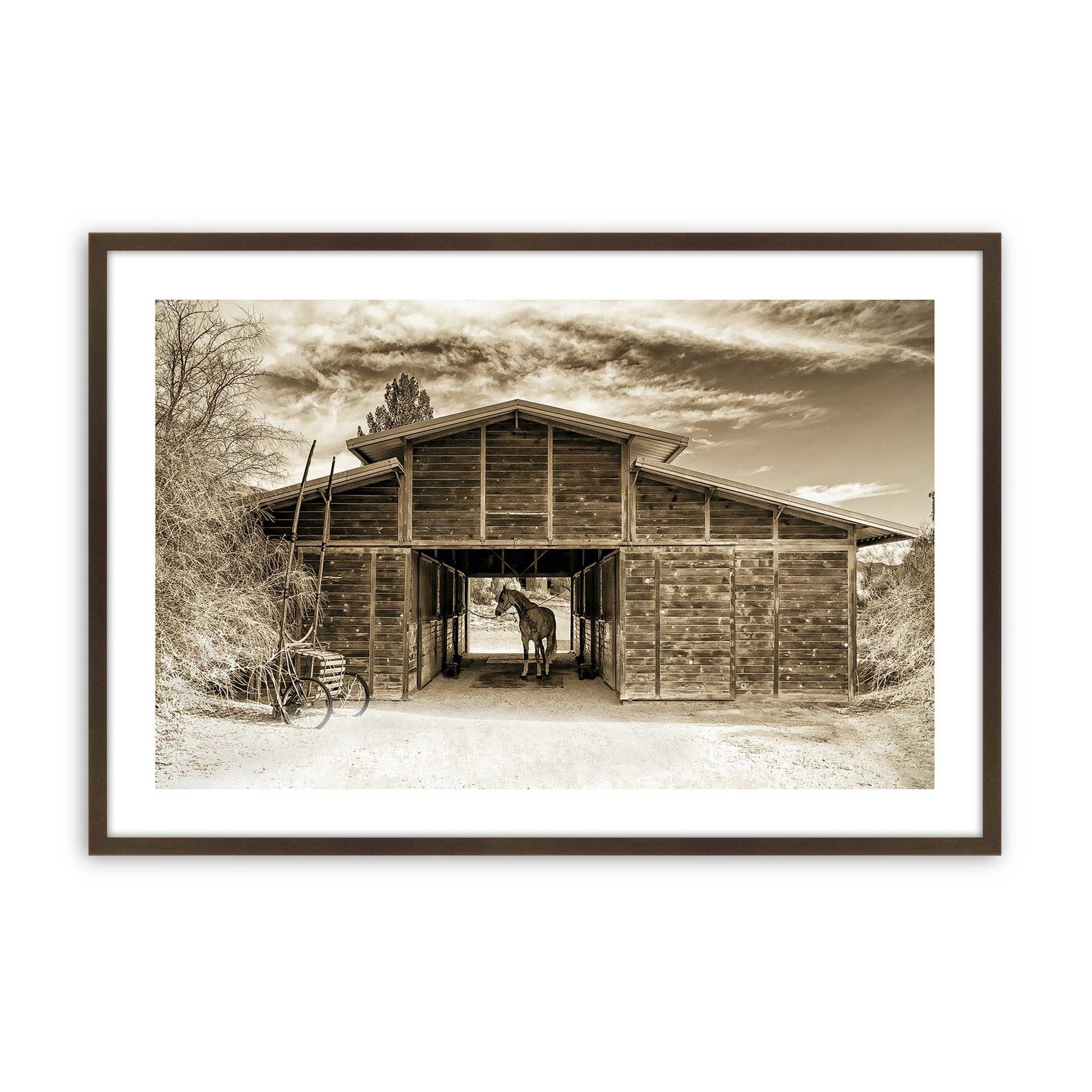 [Color:Brown], Picture of art in a Brown frame