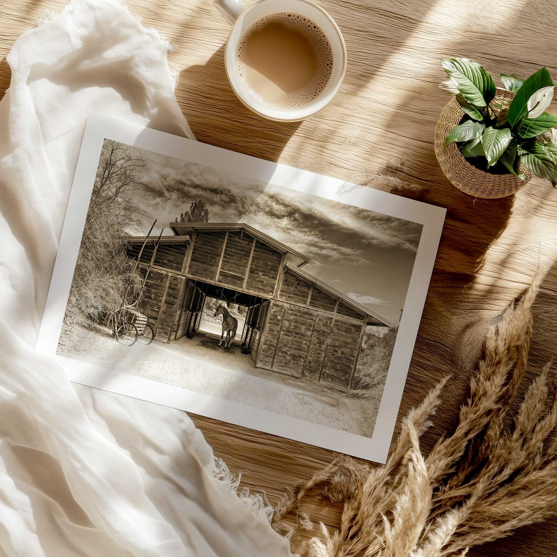 [Color:Rolled Print], Picture of close up of art