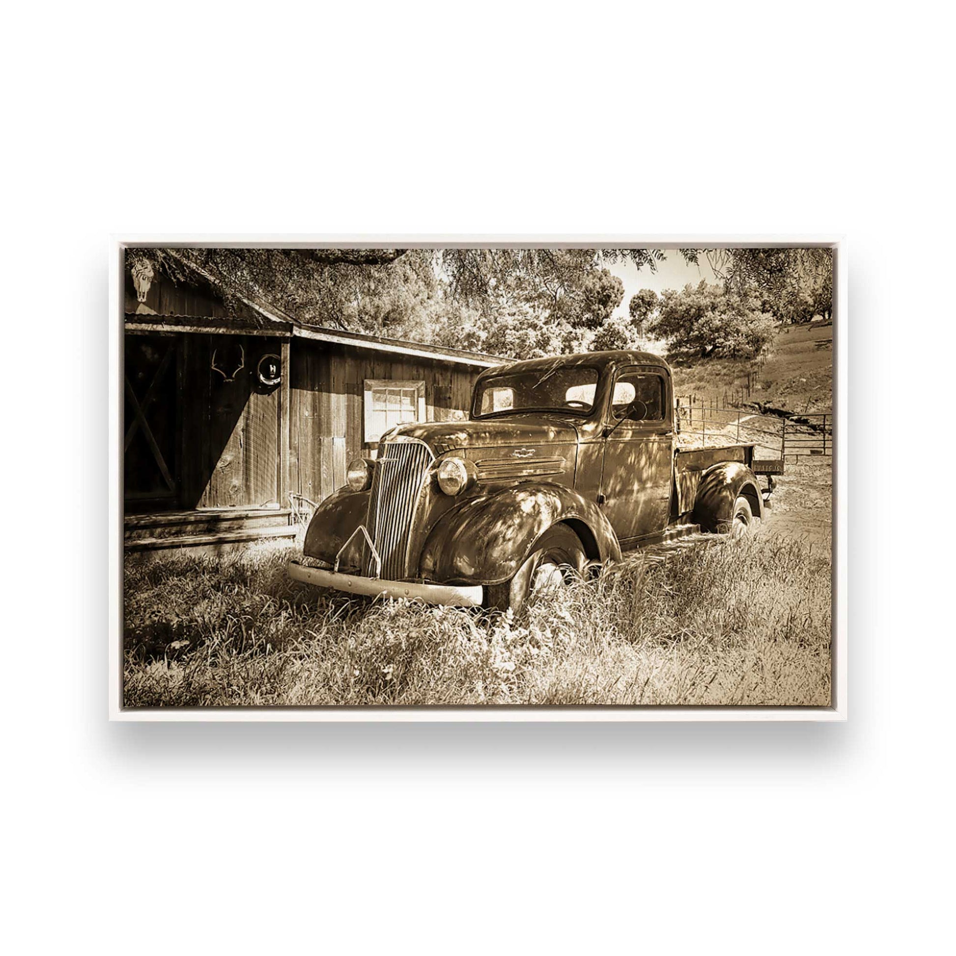 [Color:Opaque White], Picture of art in a White frame