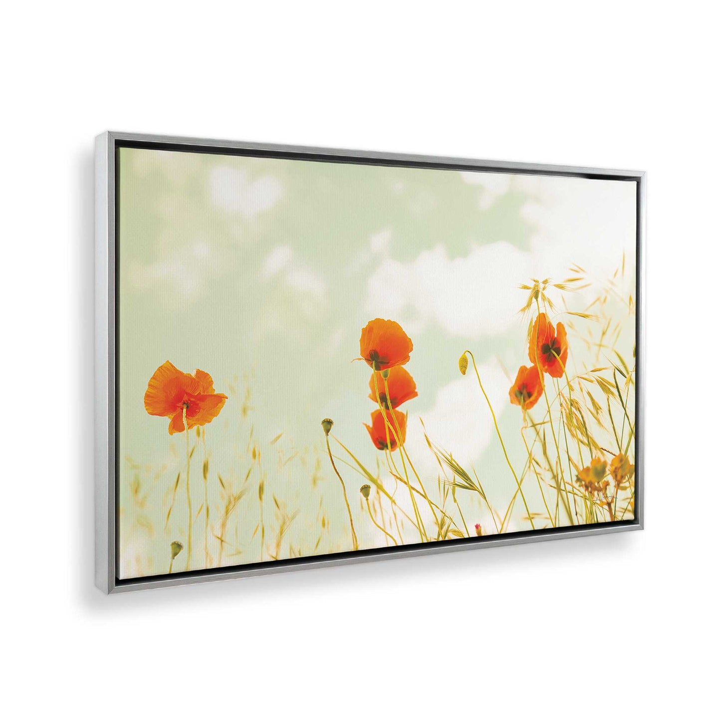 [Color:Polished Chrome], Picture of art in a Polished Chrome frame at an angle