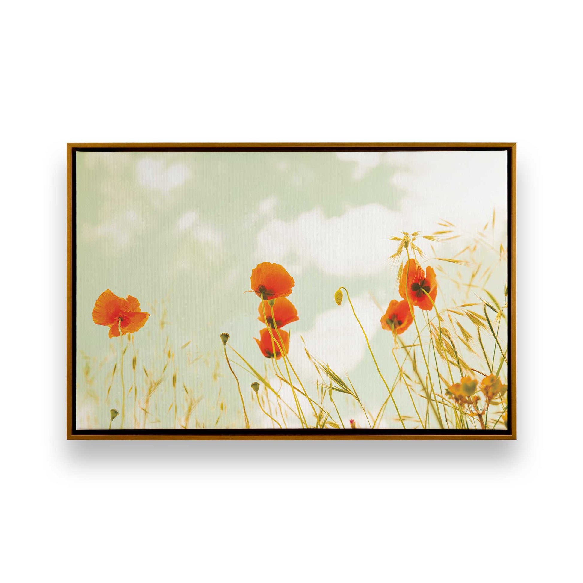 [Color:Polished Gold], Picture of art in a Polished Gold frame