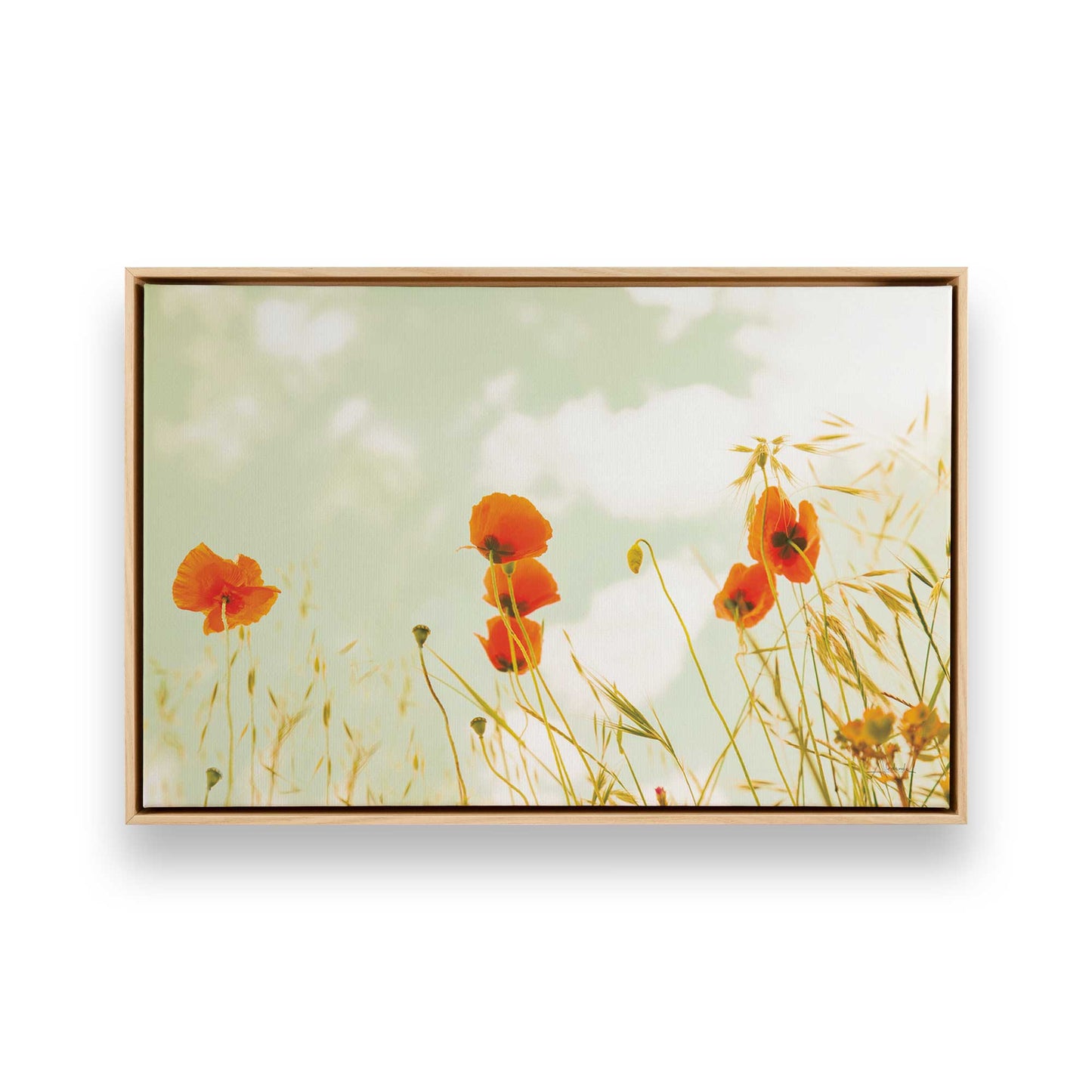 [Color:American Maple], Picture of art in a American Maple frame