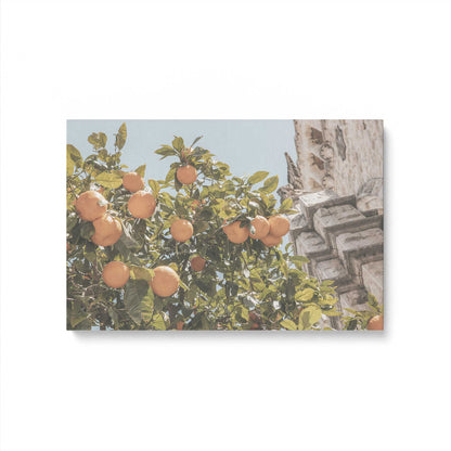 [Color:Stretched Canvas], Picture of art