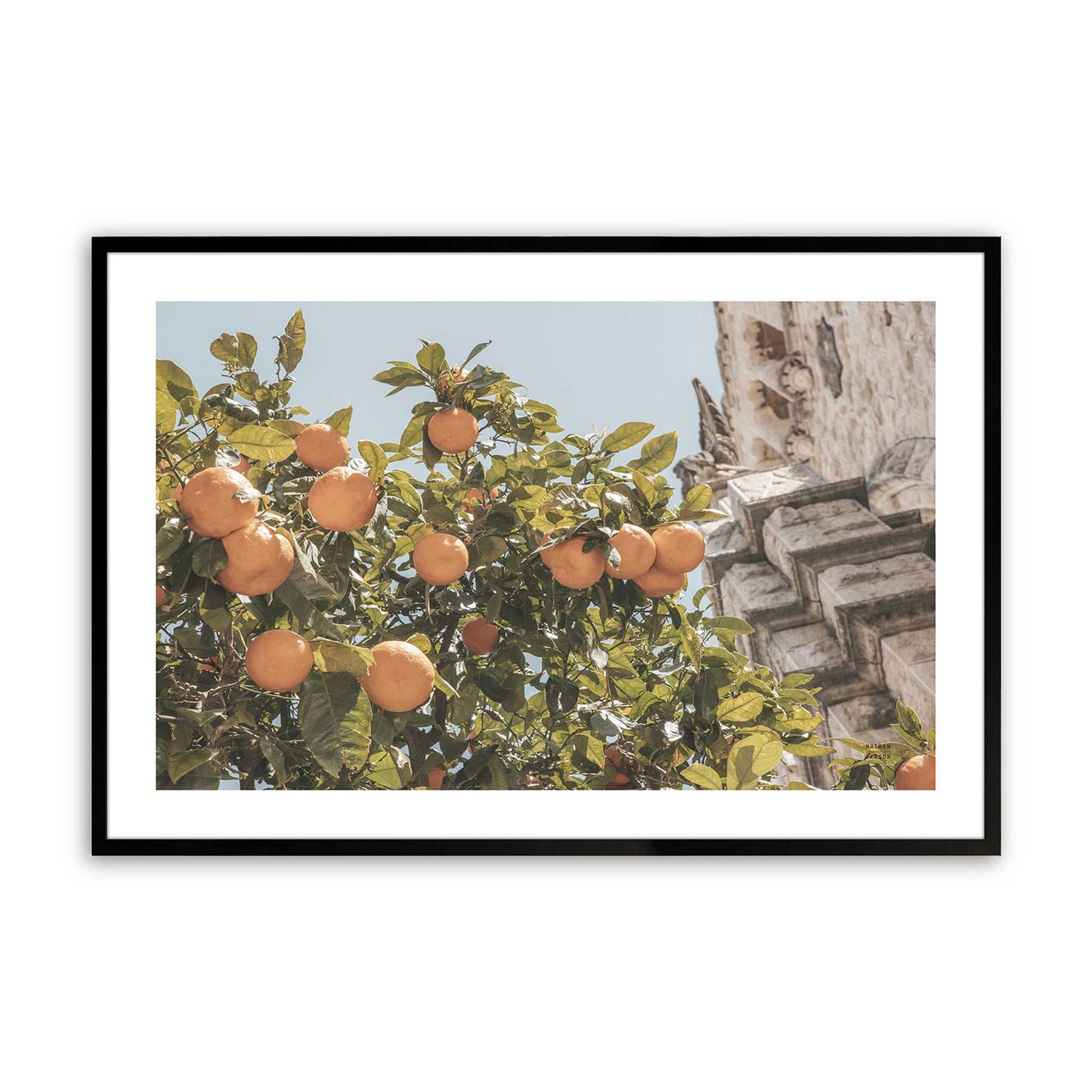 [Color:Satin Black],Front image of the art