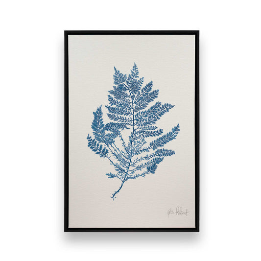 [Color:Satin Black], Front image of the art