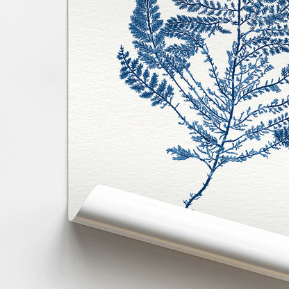 [color:Rolled Print], Picture of close up of art