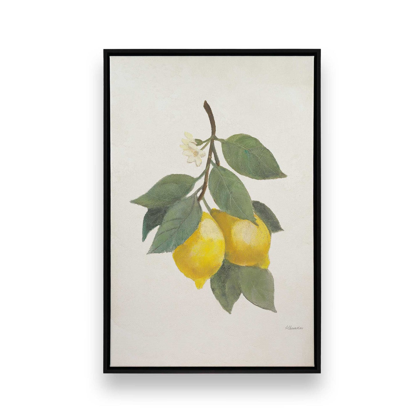 [Color:Satin Black], Front image of the art