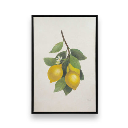 [Color:Satin Black], Front image of the art