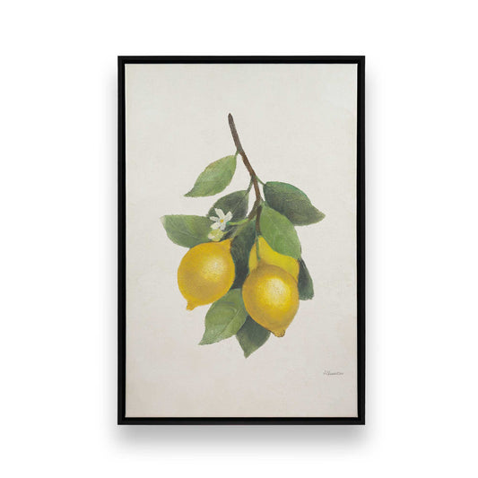 [Color:Satin Black], Front image of the art