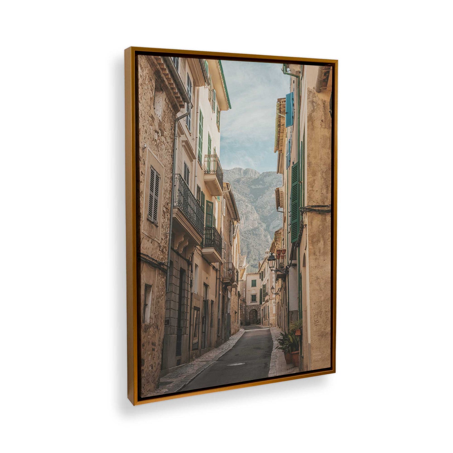 [Color:Polished Gold], Picture of art in a Polished Gold frame at an angle