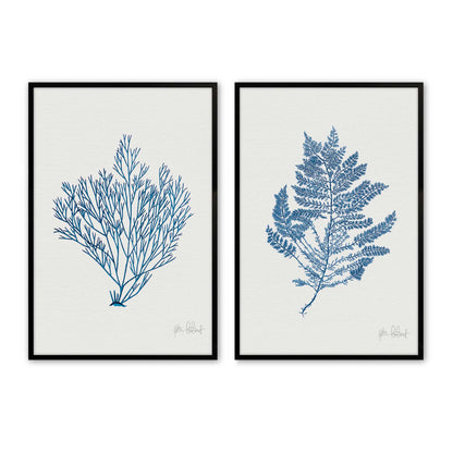 [Color:Satin Black],Front image of the art