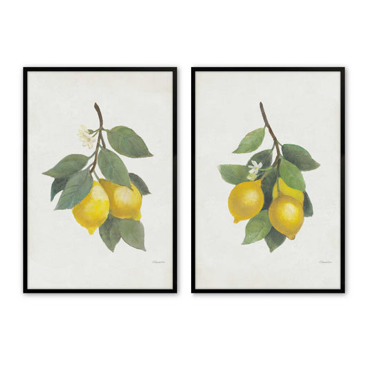 [Color:Satin Black],Front image of the art