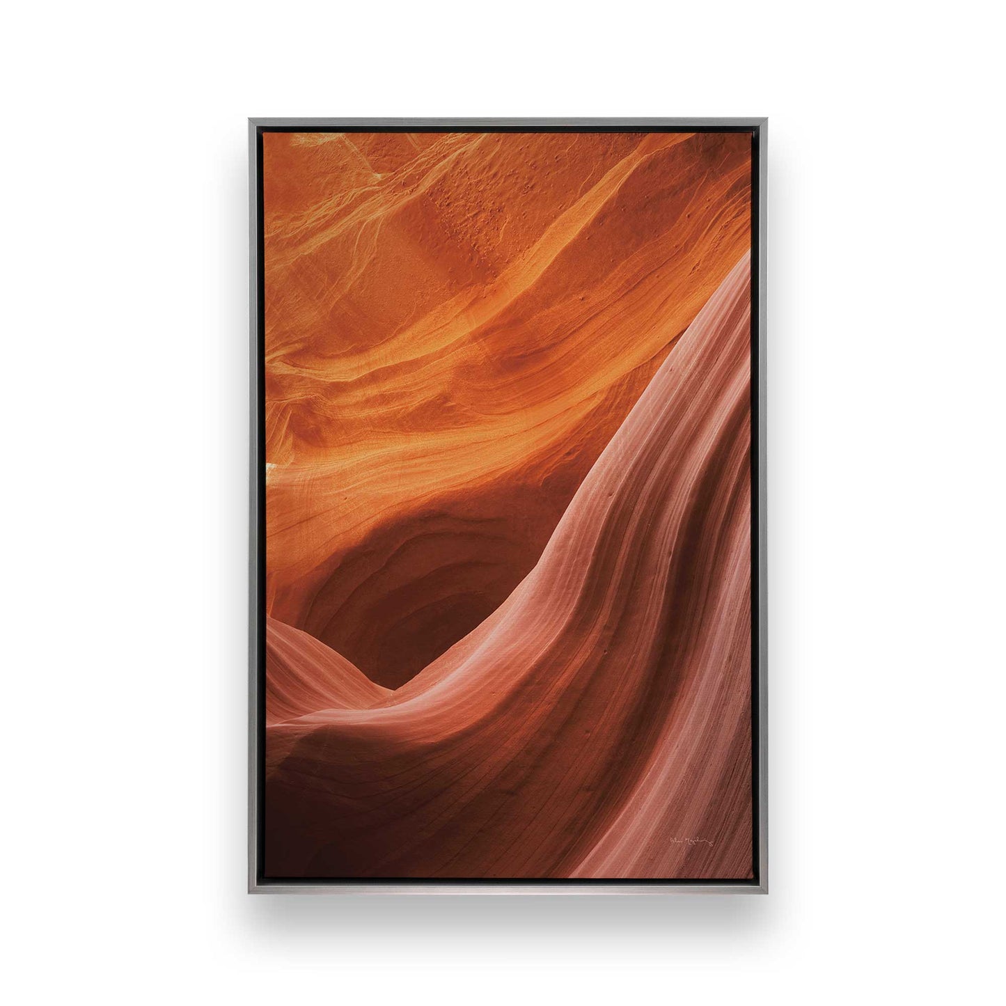 Nature's Sculpture Canvas Print