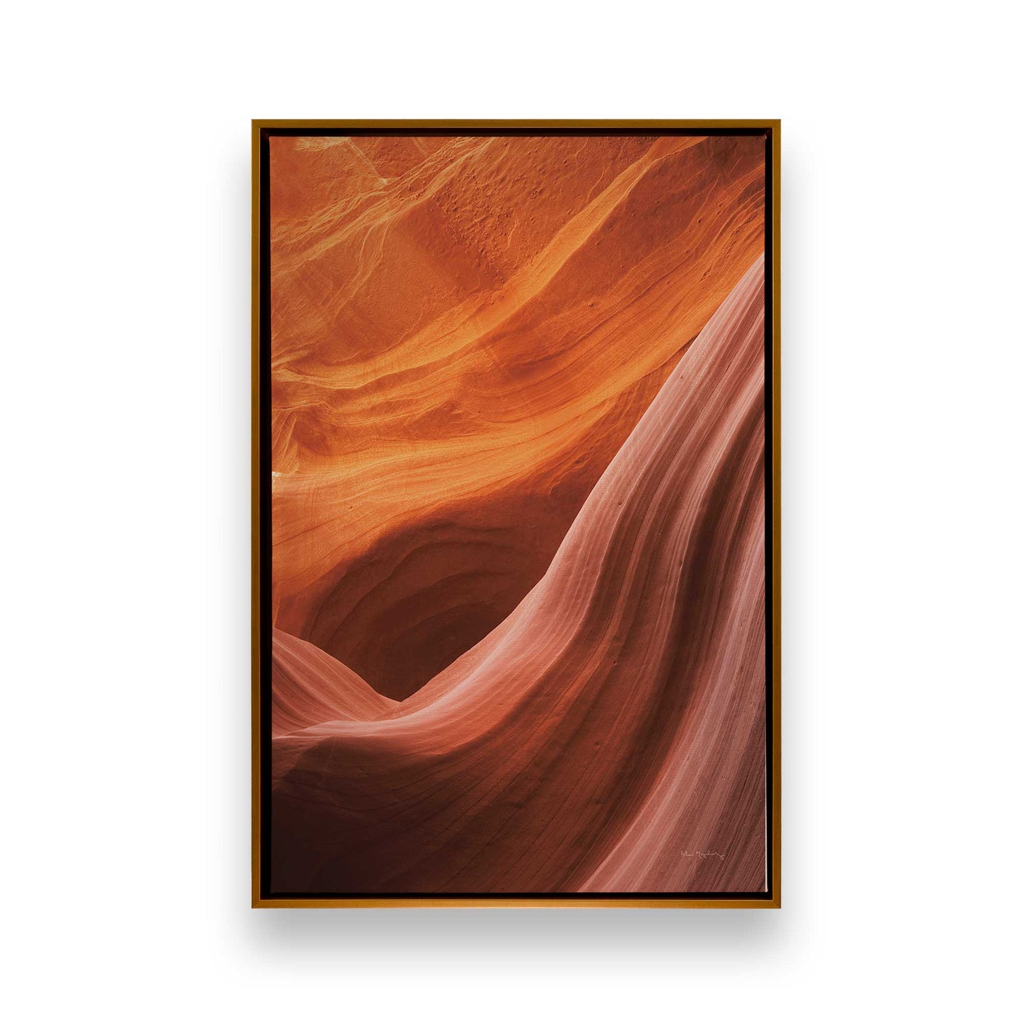 Nature's Sculpture Canvas Print