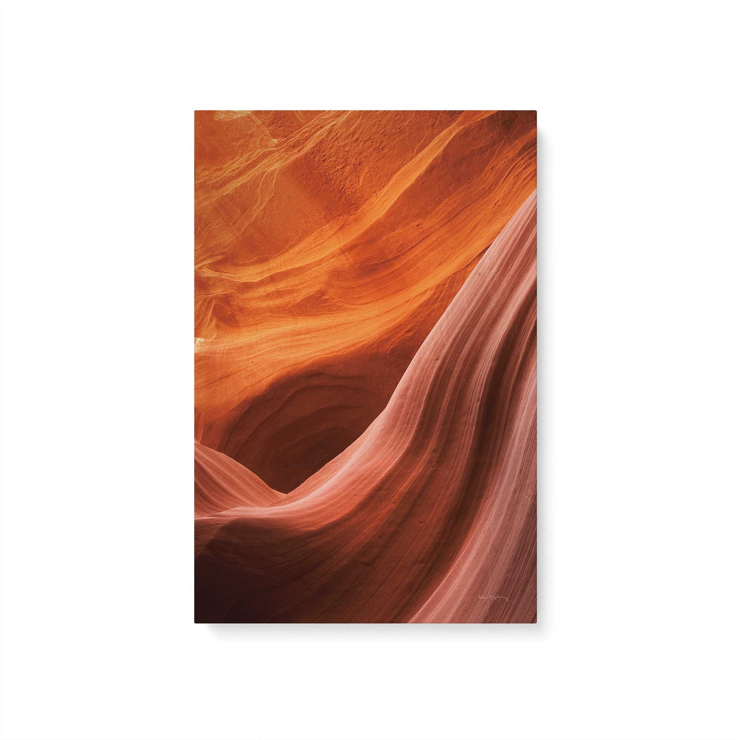 Nature's Sculpture Canvas Print