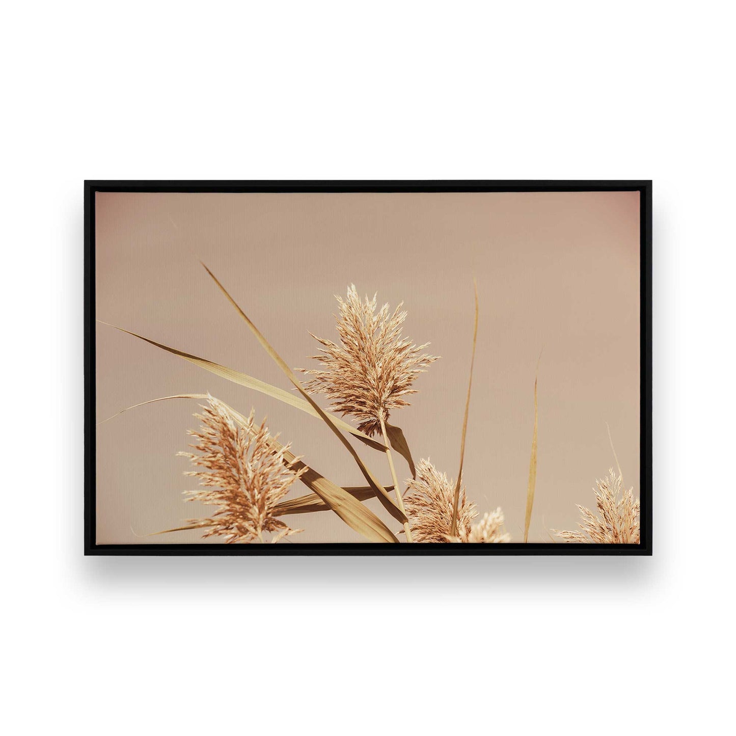 [Color:Satin Black], Front image of the art