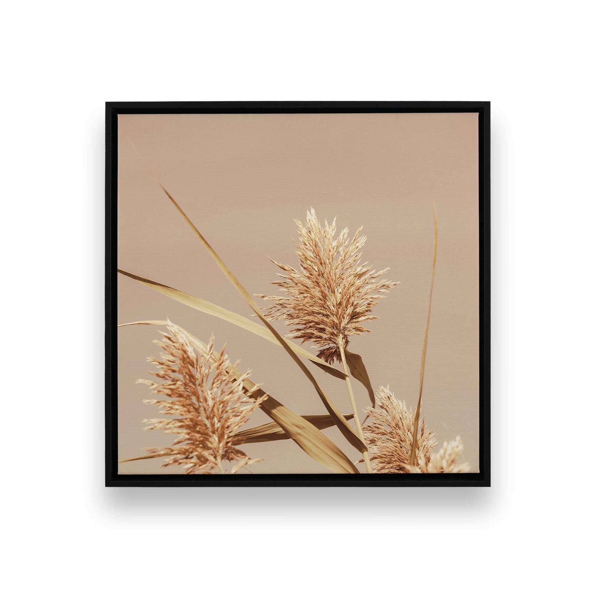 [Color:Satin Black], Front image of the art