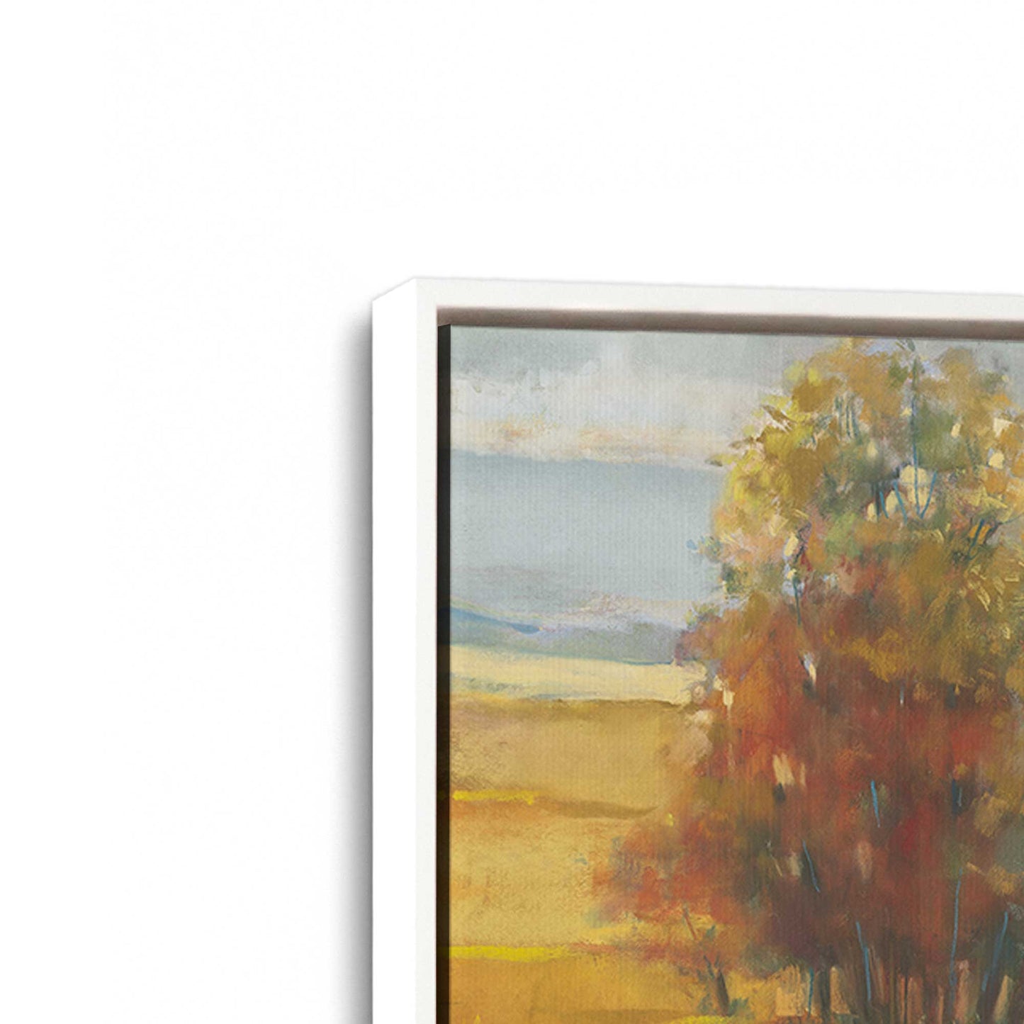 [Color:Opaque White], Picture of art in a White frame at an angle