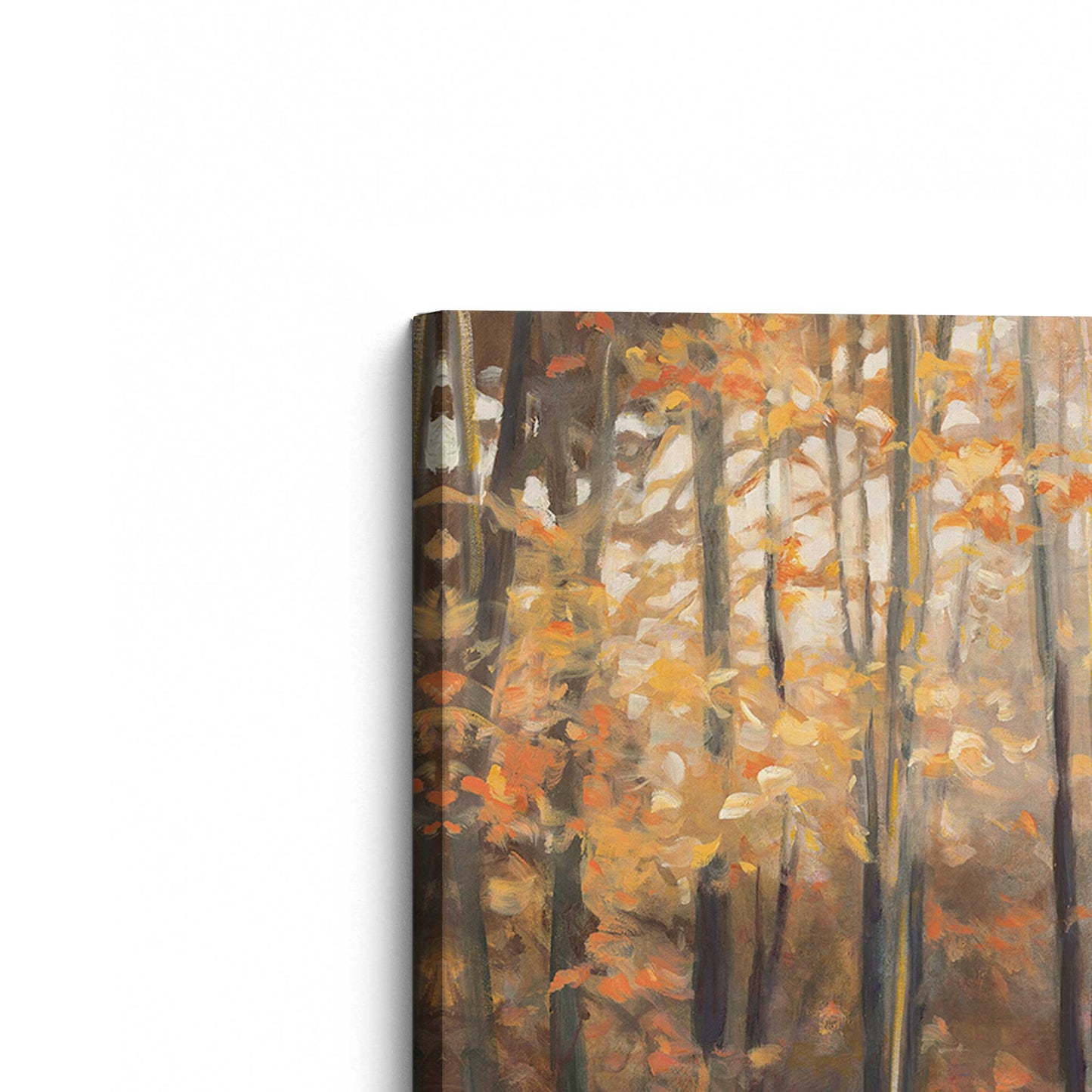 [Color:Stretched Canvas], Picture of the corner of the art