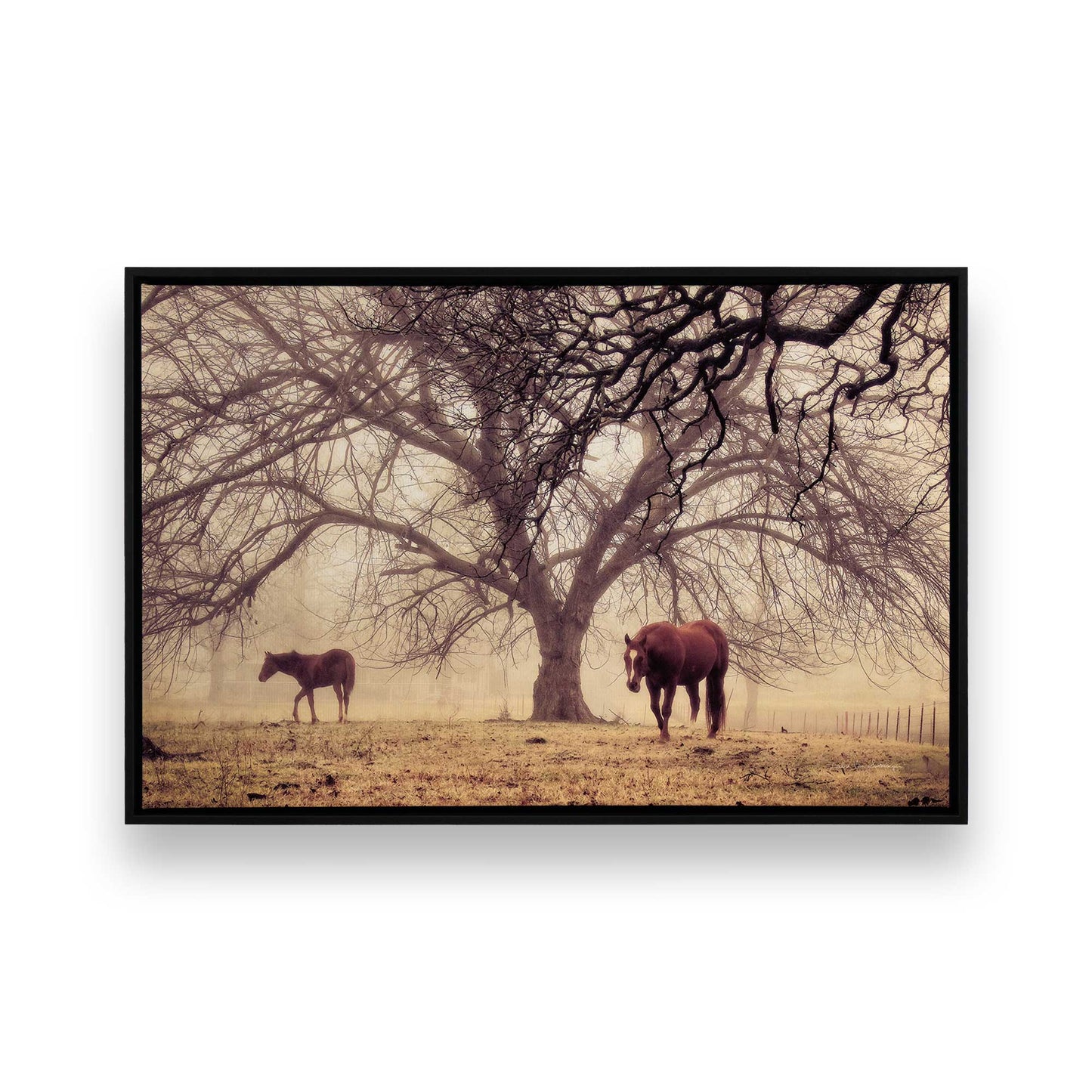 [Color:Satin Black], Front of the art