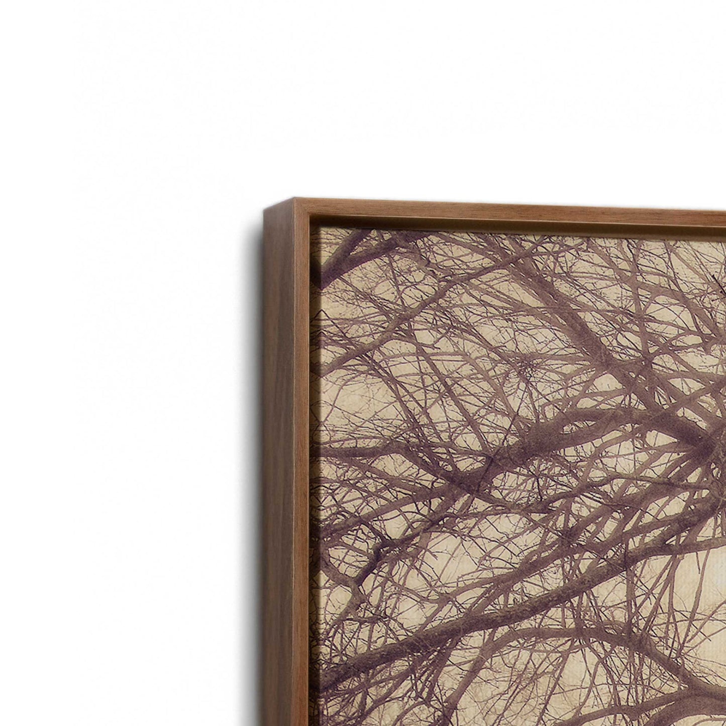 [Color:Walnut], Picture of art in a Walnut frame at an angle