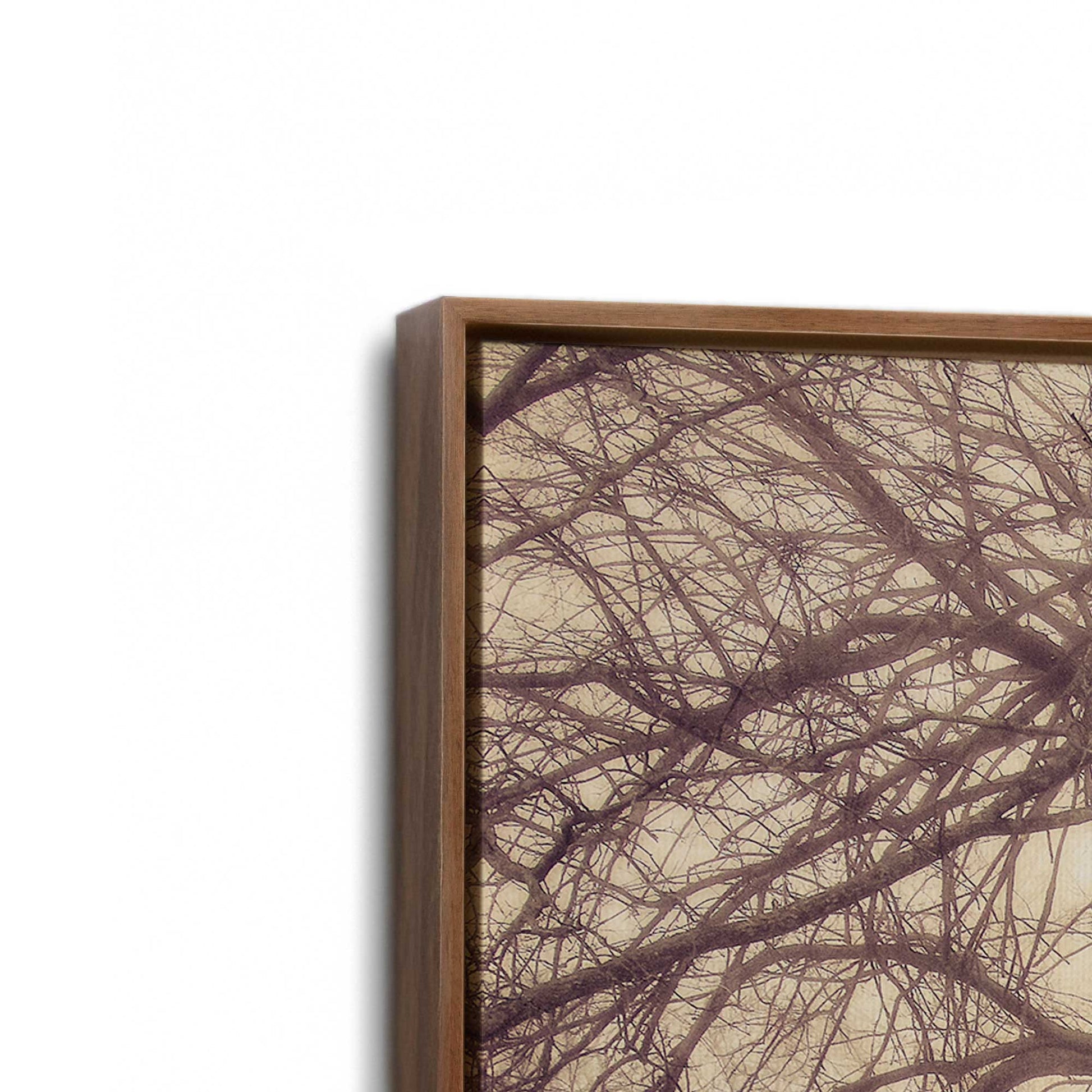 [Color:Walnut], Picture of art in a Walnut frame at an angle