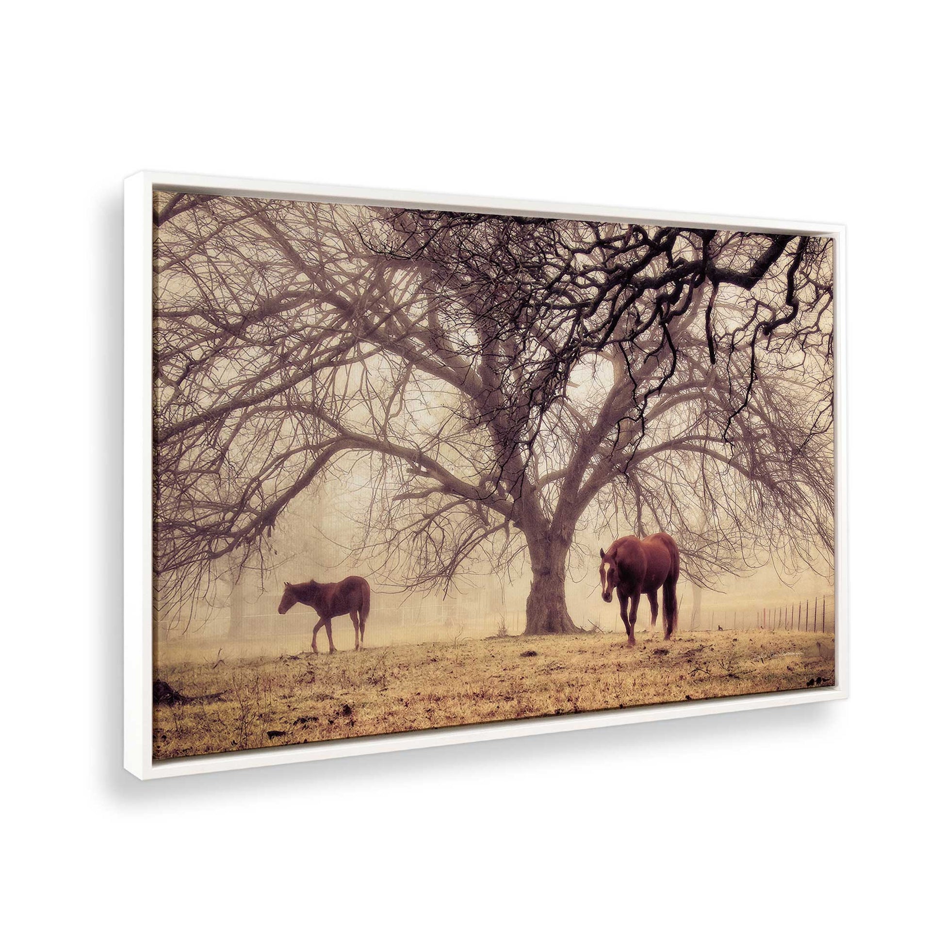 [Color:Opaque White], Picture of the corner of the art