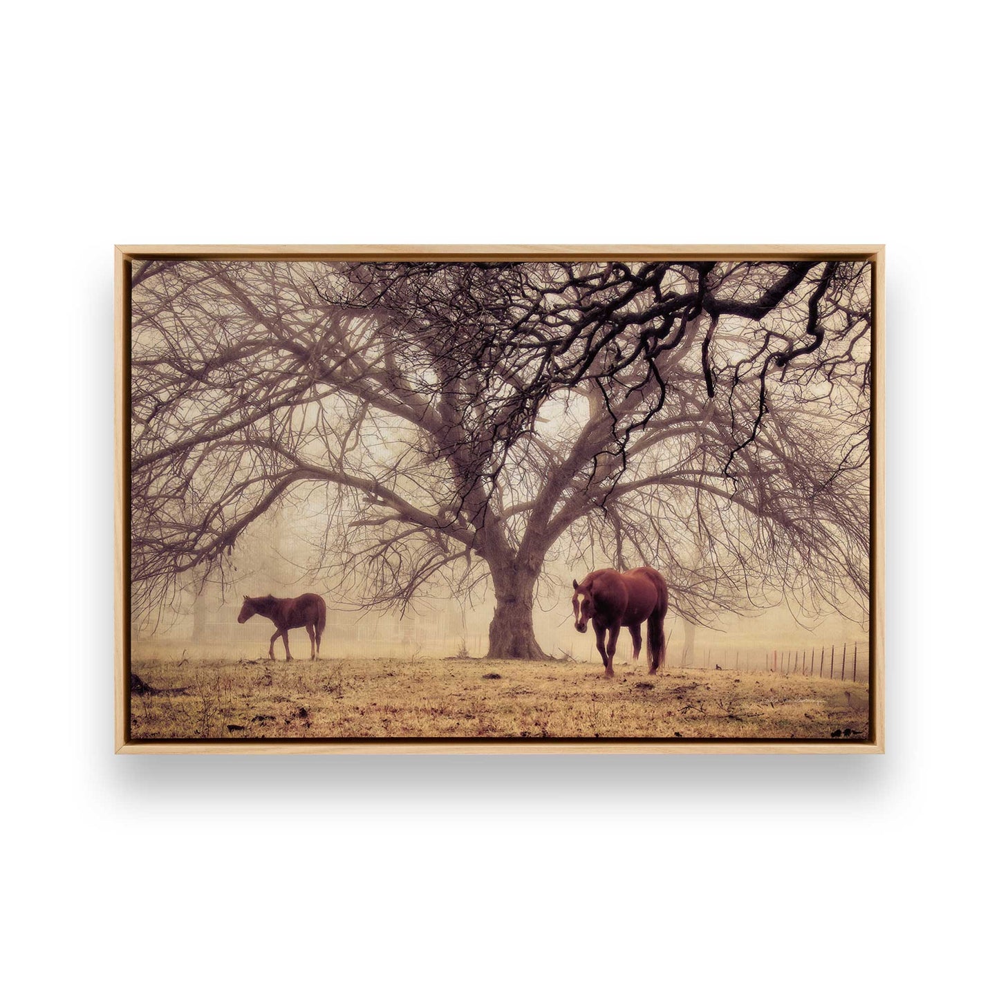 [Color:American Maple], Picture of art in a American Maple frame