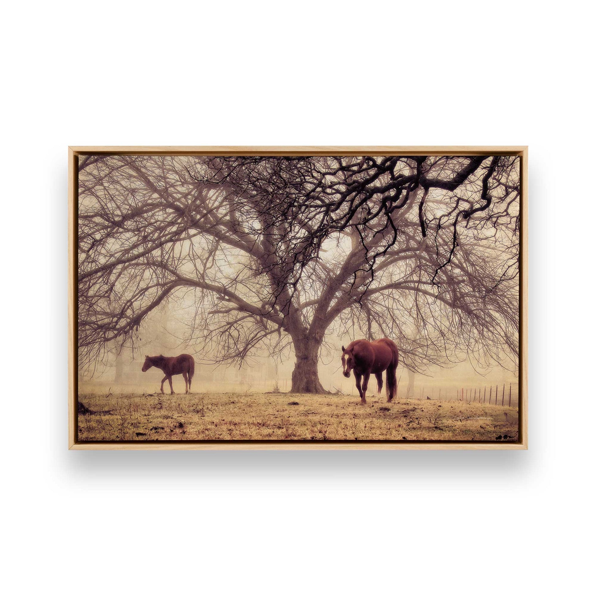 [Color:American Maple], Picture of art in a American Maple frame
