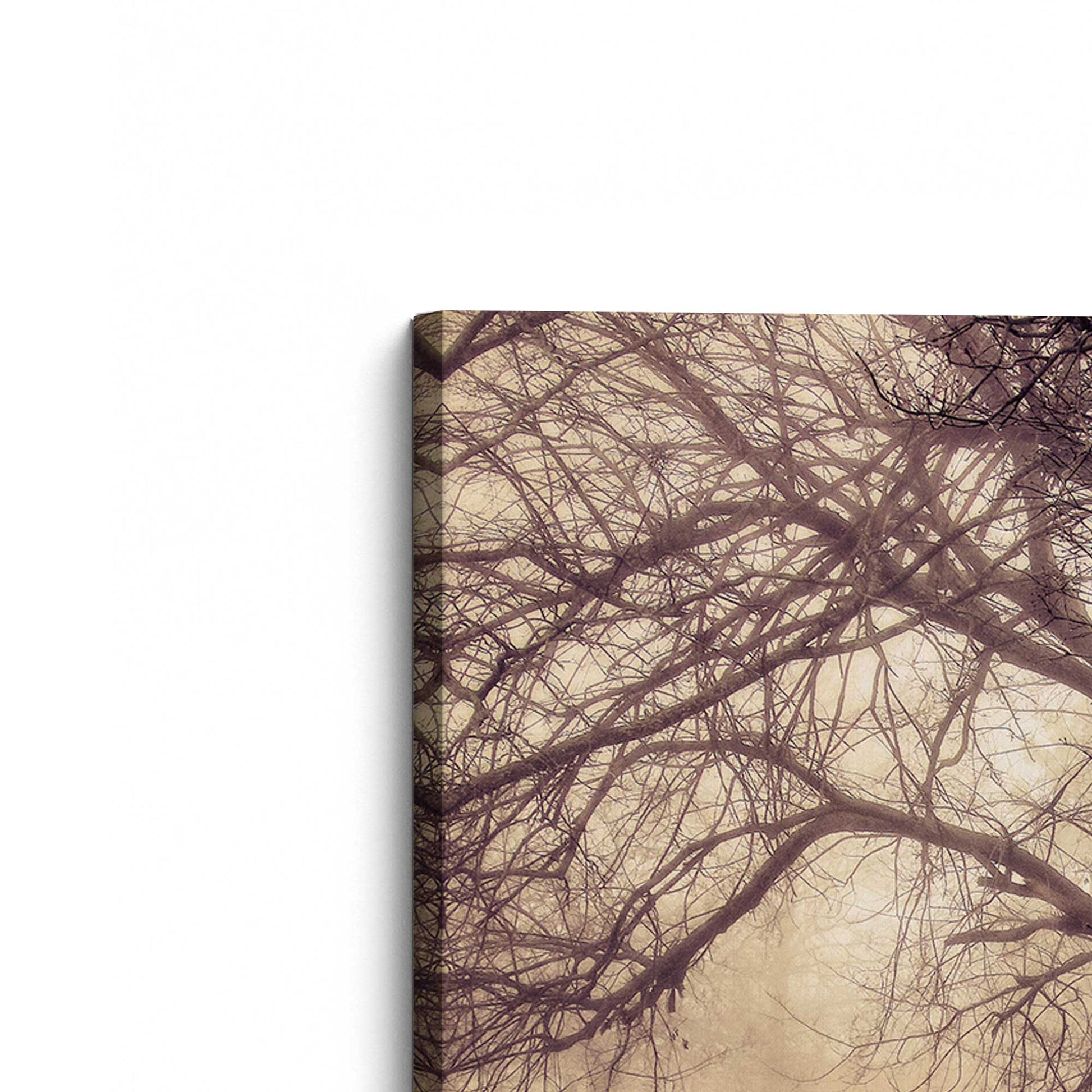 [Color:Stretched Canvas], Picture of the corner of the art