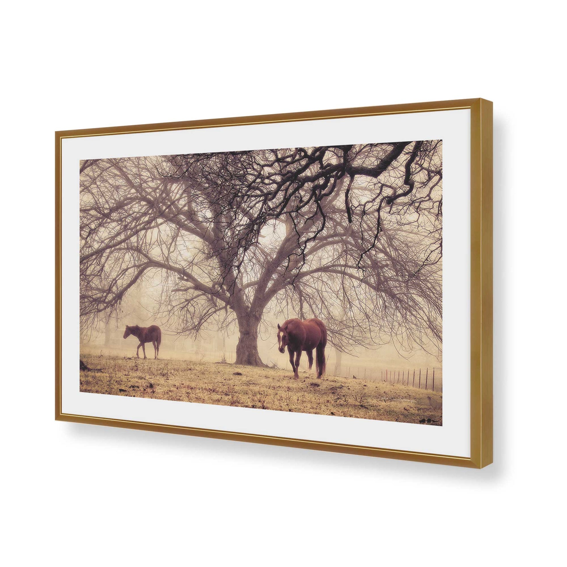 [Color:Polished Gold], Picture of art in a Polished Gold frame of the corner