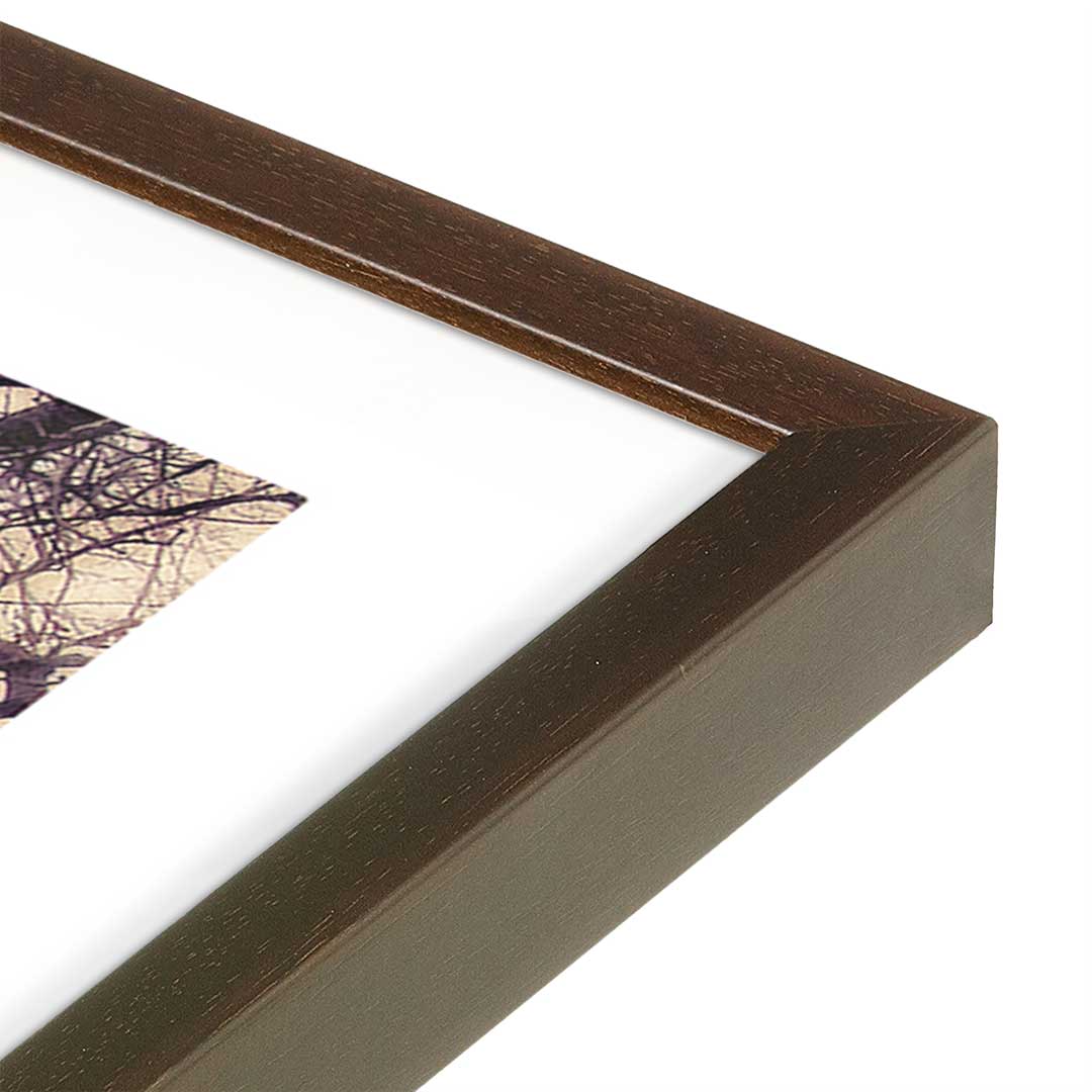 [Color:Belvinder Brown], Picture of art in a Belvinder Brown frame at an angle