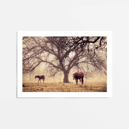 [Color:Rolled Print], Picture of close up of art