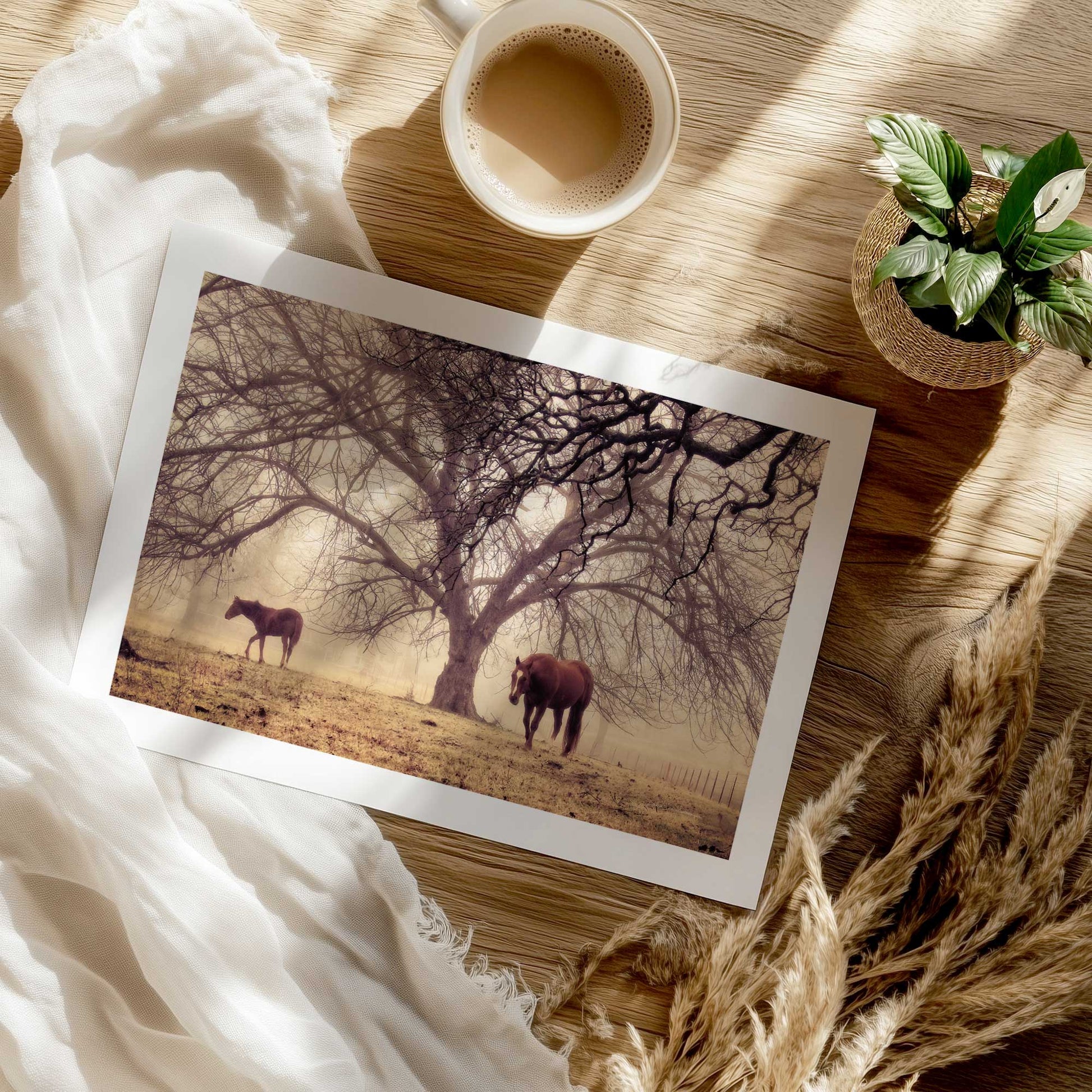 [Color:Rolled Print], Picture of close up of art