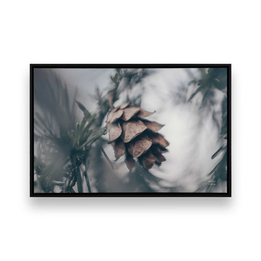 [Color:Satin Black], Front of the art