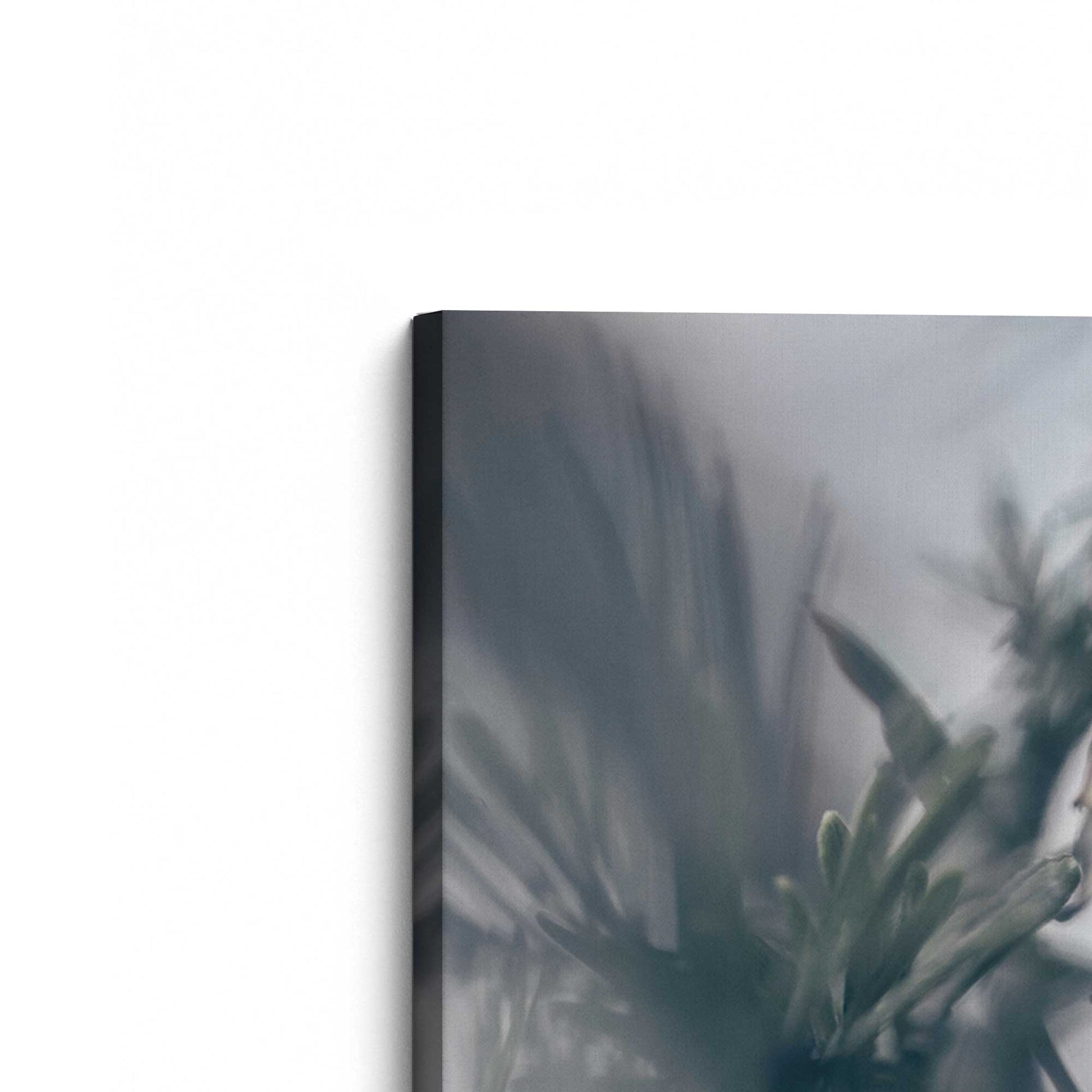 [Color:Stretched Canvas], Picture of the corner of the art