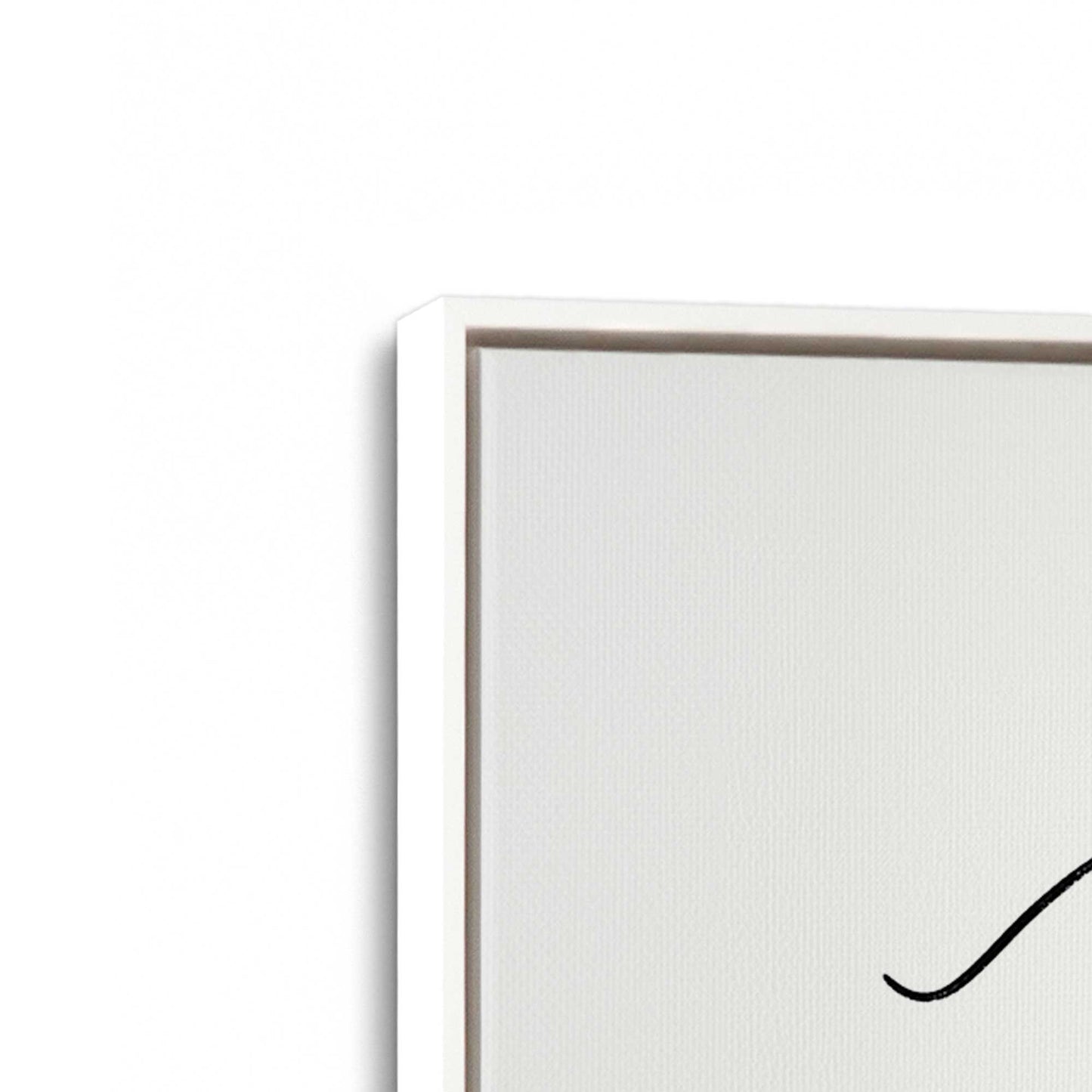 [Color:Opaque White], Picture of art in a White frame at an angle