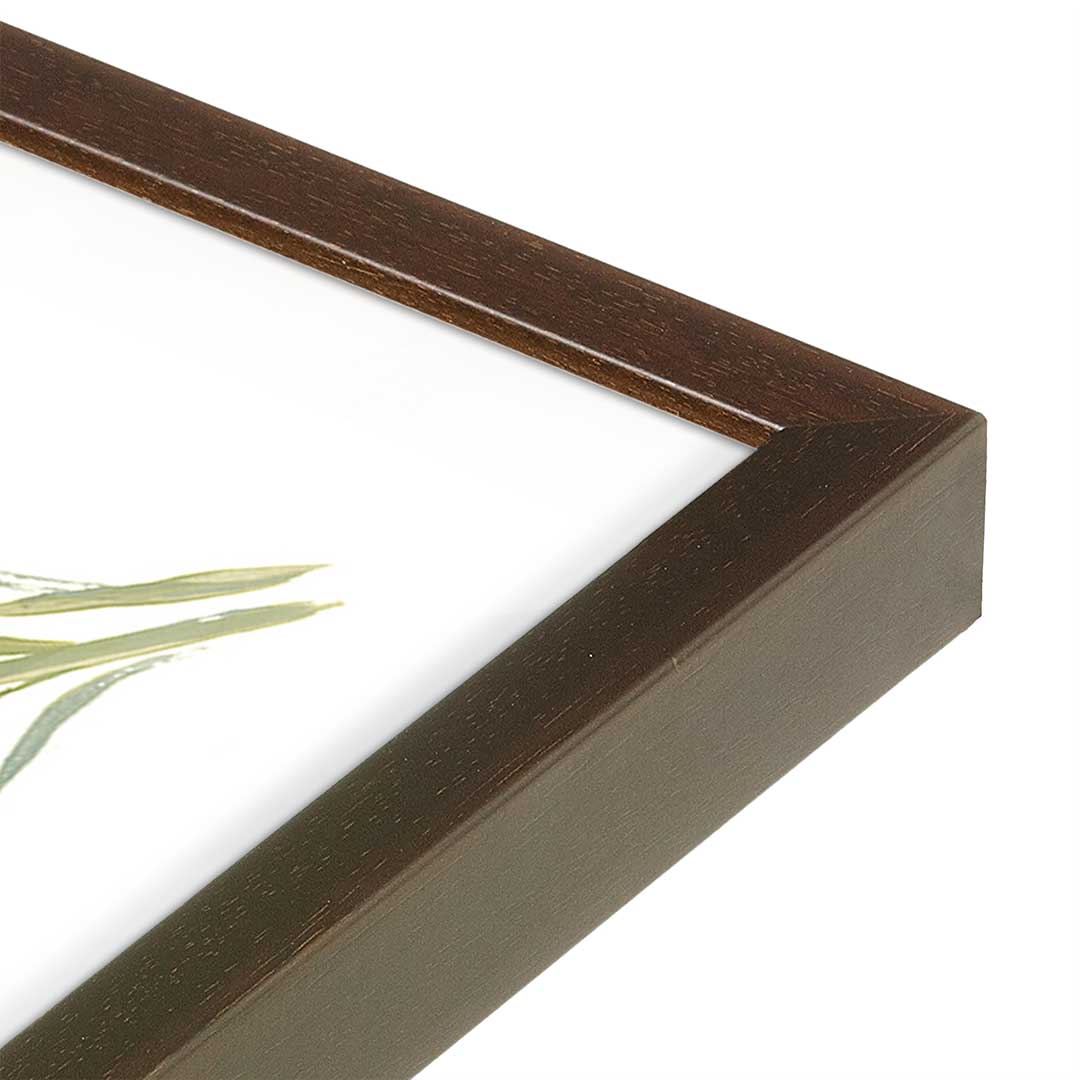 [Color:Brown], Picture of art in a Brown frame at an angle