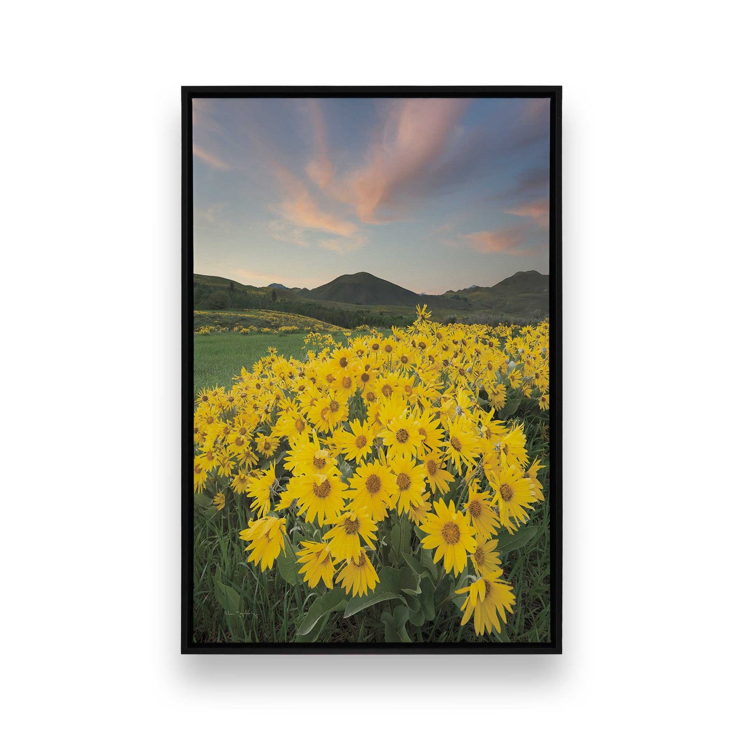[Color:Satin Black], Picture of art in a Satin Black frame