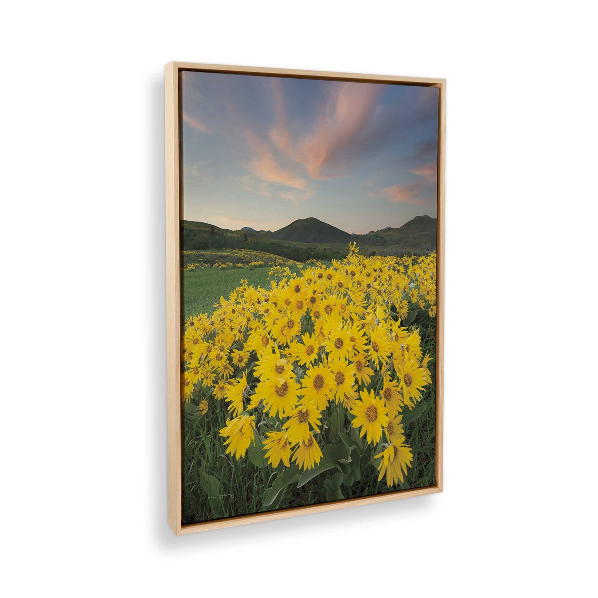 [Color:American Maple], Picture of the corner of the art