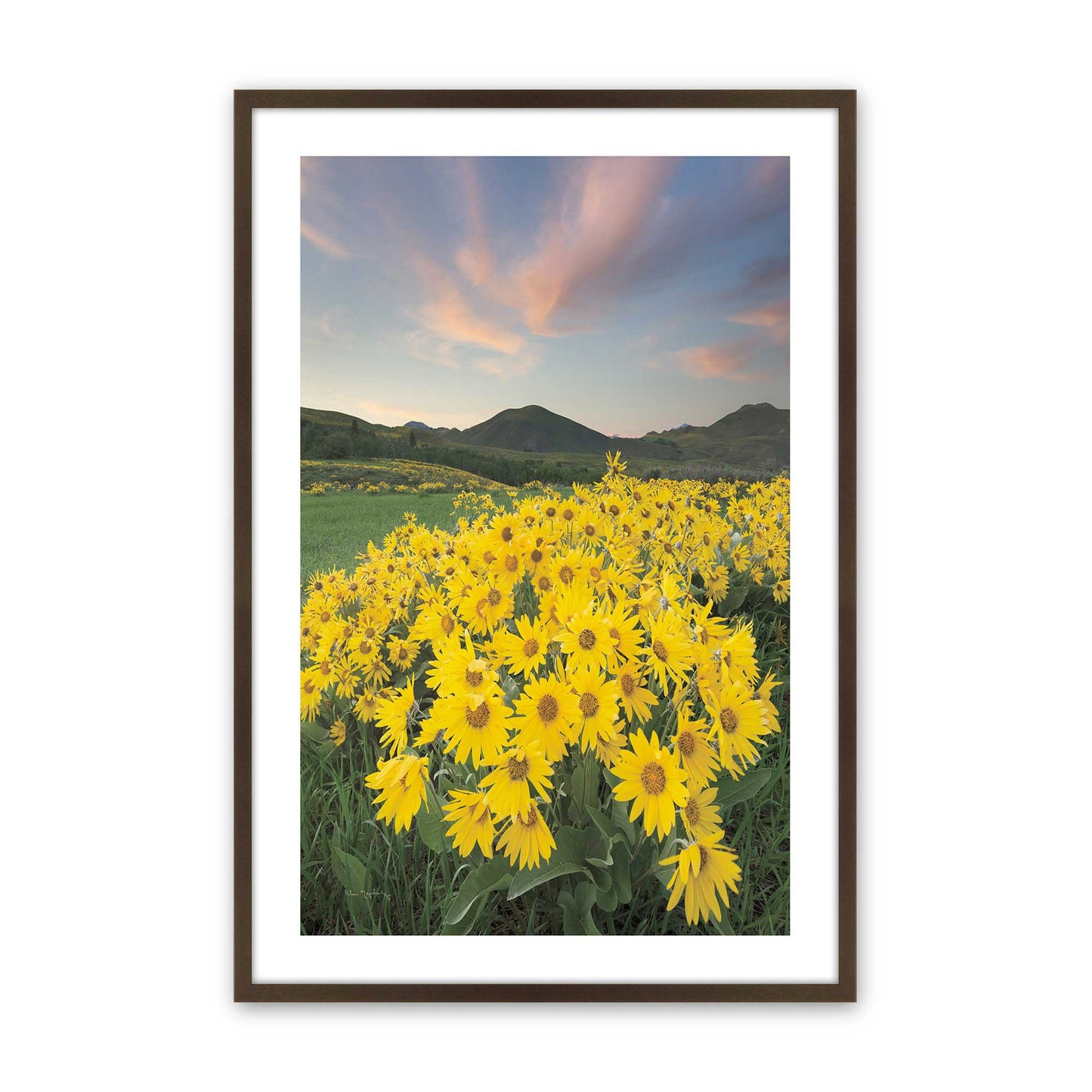 [Color:Belvinder Brown], Picture of art in a Belvinder Brown frame