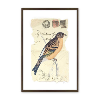 [Color:Brown], Picture of art in a Brown frame