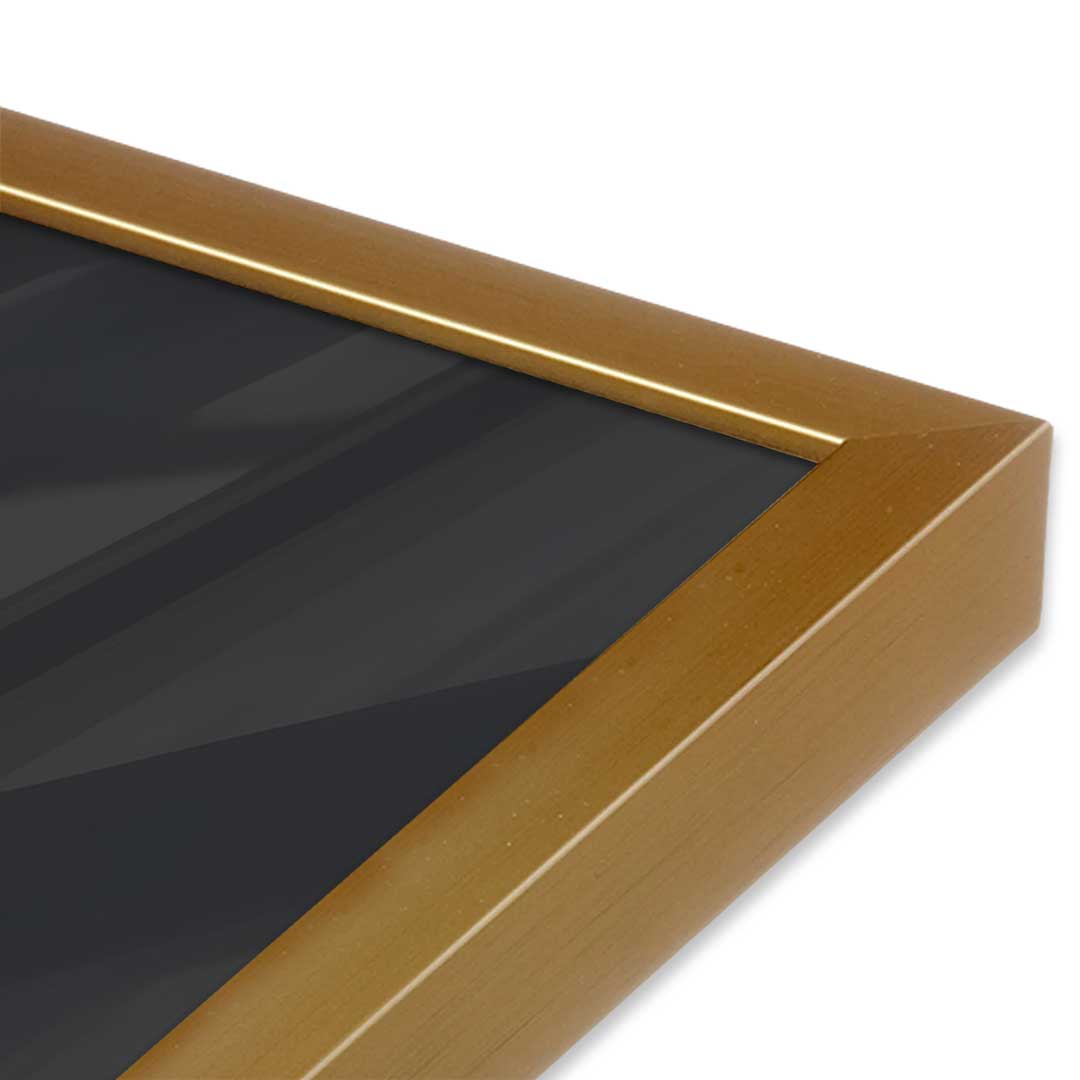 [Color:Polished Gold], Picture of art in a Polished Gold frame at an angle