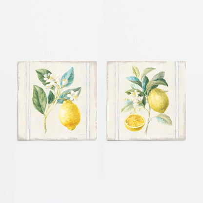 [color:Rolled Print], Picture of close up of art
